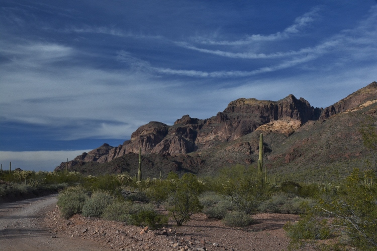 landscape with mountains